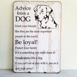 45CM WD ADVISE FROM A DOG PLANK STYLE PLAQUE