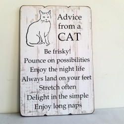 45CM WD ADVISE FROM A CAT PLANK STYLE PLAQUE