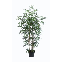130cm Bamboo Real Bamboo Stems w/pot