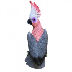 *Parrot Wall Plaque- Pink 34x11cm