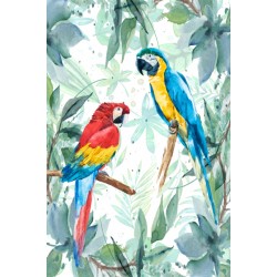 Canvas -Parrot 60x90x3cm