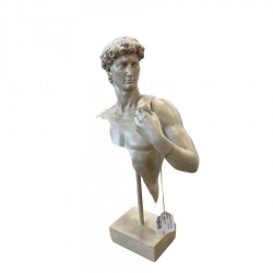 Resin Table Top Statue-Bust of David 18x9x34cm