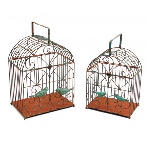 Bird Cage/Bird Feeder